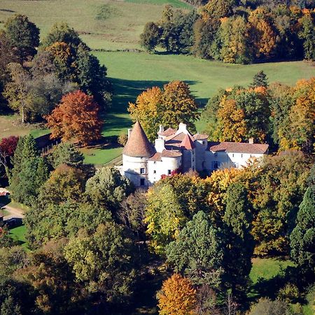 Château des Martinanches Saint-Dier-dʼAuvergne Exterior foto