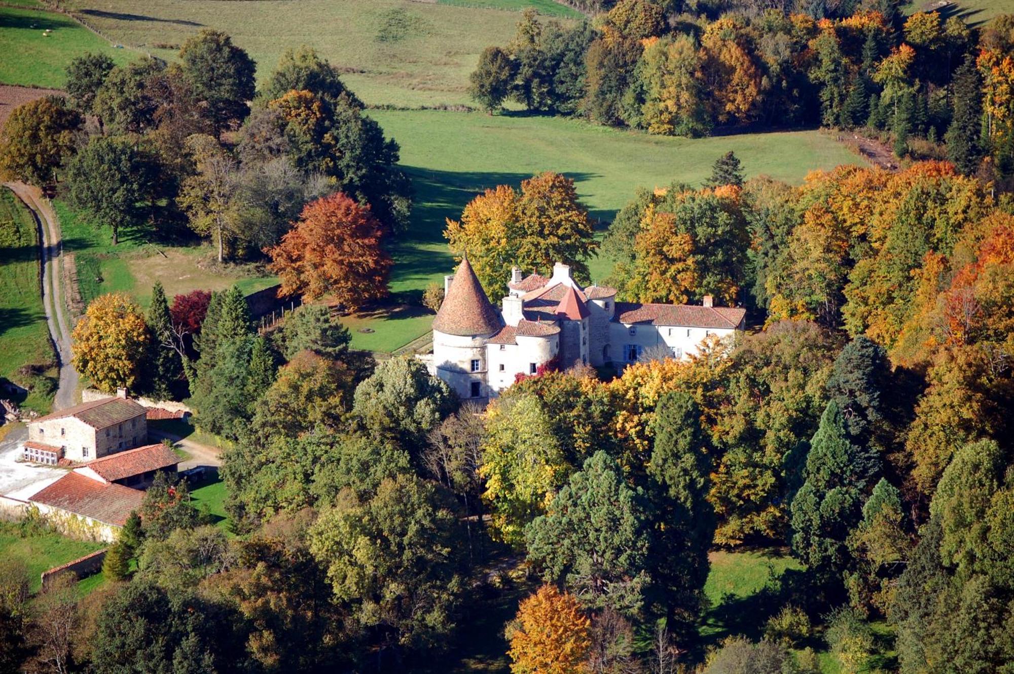 Château des Martinanches Saint-Dier-dʼAuvergne Exterior foto