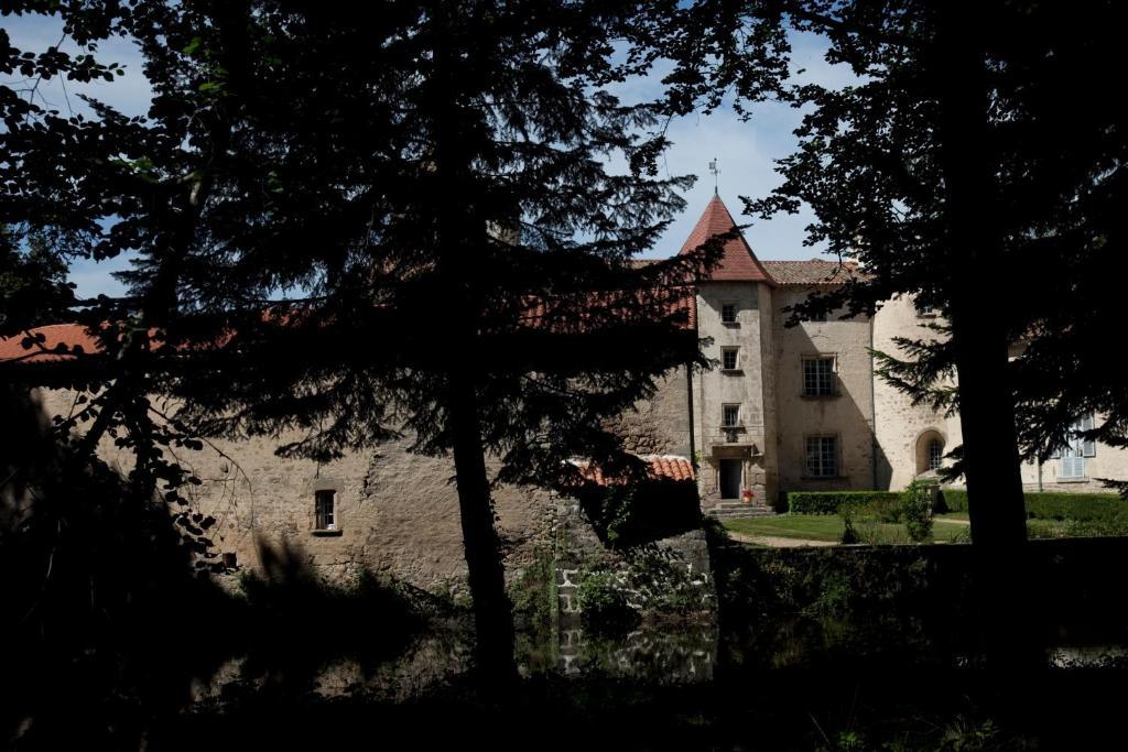 Château des Martinanches Saint-Dier-dʼAuvergne Exterior foto