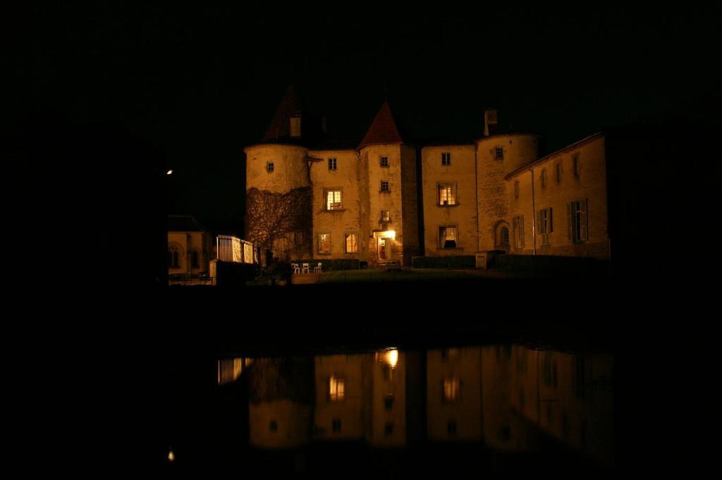 Château des Martinanches Saint-Dier-dʼAuvergne Exterior foto