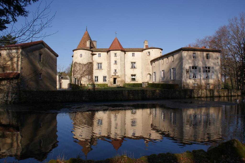 Château des Martinanches Saint-Dier-dʼAuvergne Exterior foto